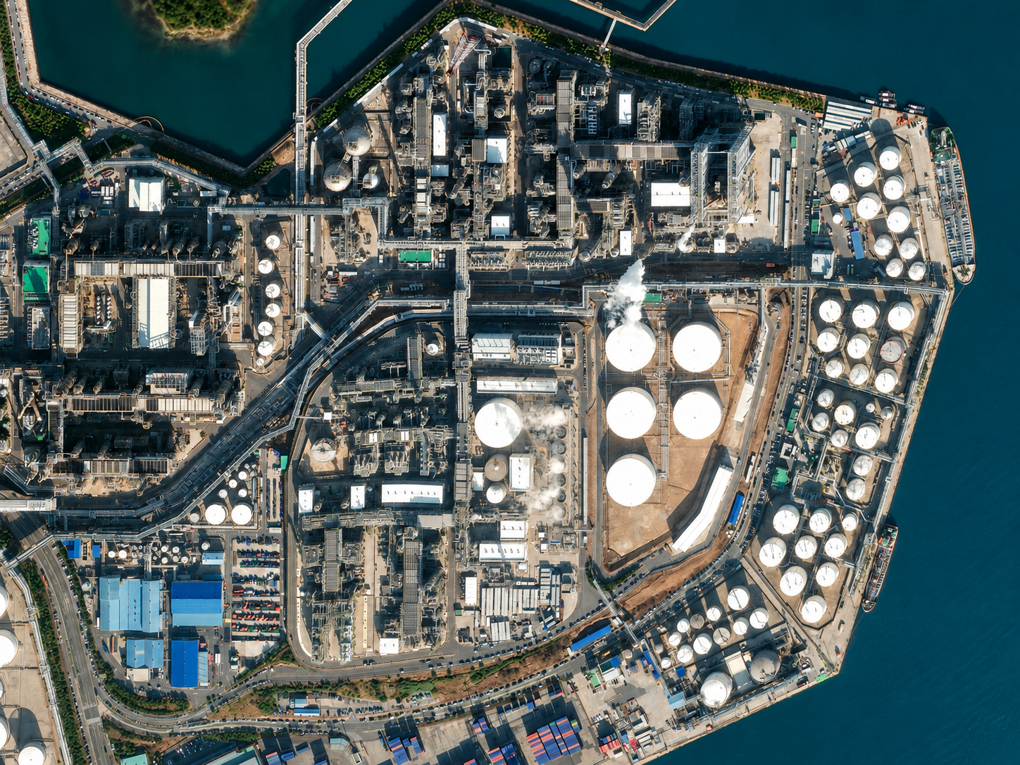 RUC Plant
